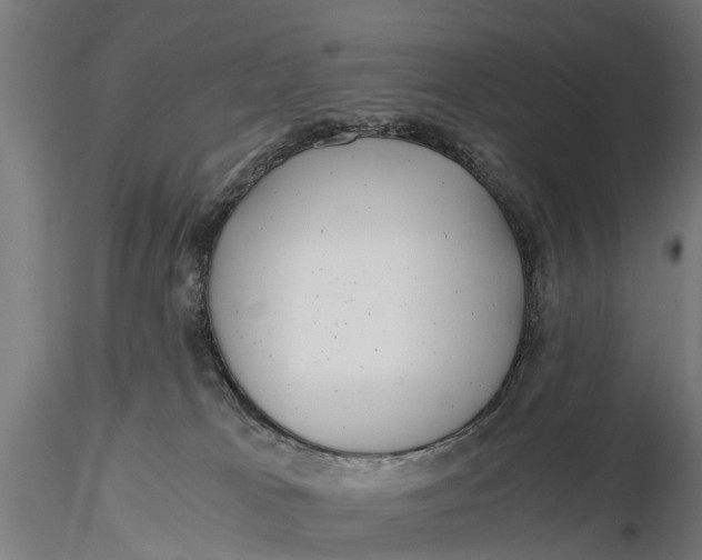 X0000115680037200912031429