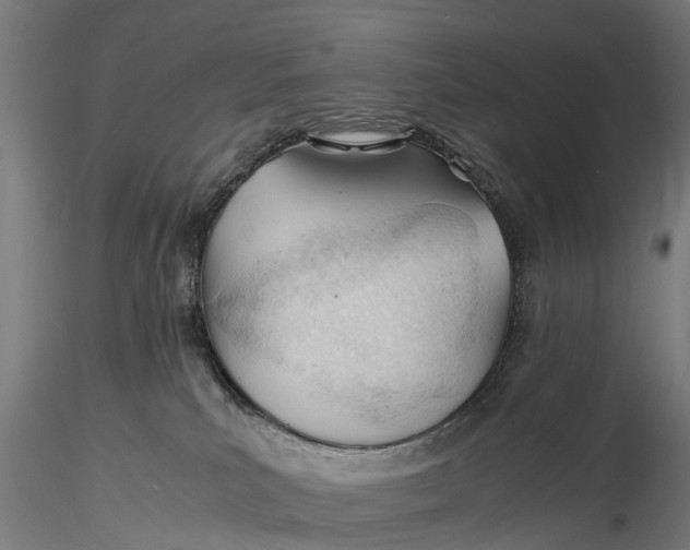 X0000115680039200912031429