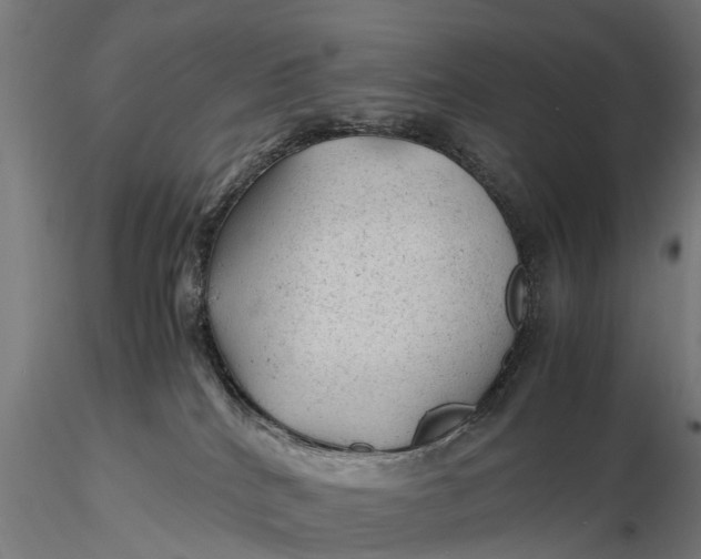 X0000115680040200912031429