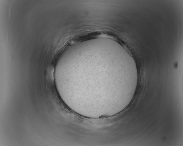 X0000115680041200912031429