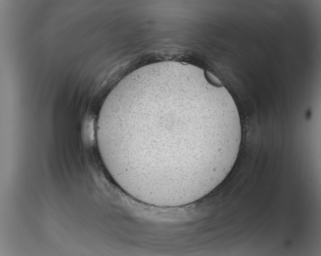 X0000115680042200912031429