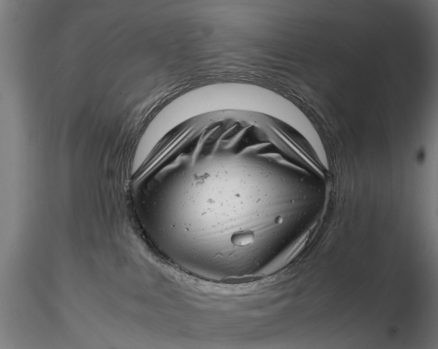 X0000115680043200912031429