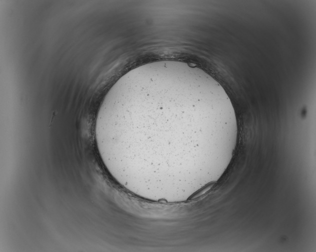 X0000115680044200912031429