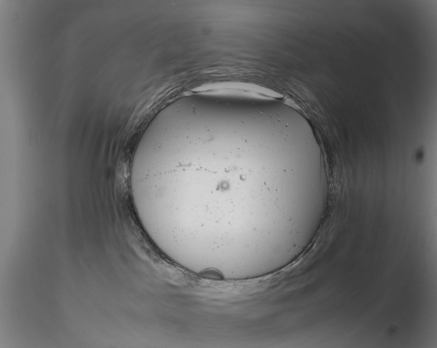 X0000115680045200912031429