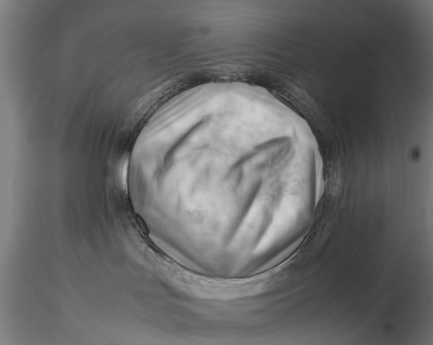 X0000115680047200912031429