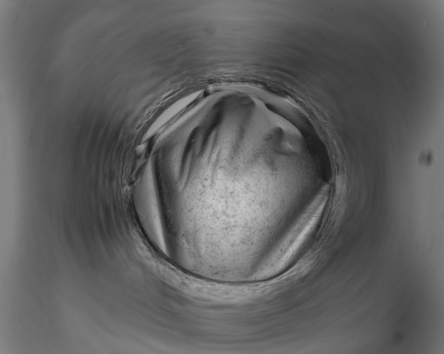 X0000115680048200912031429