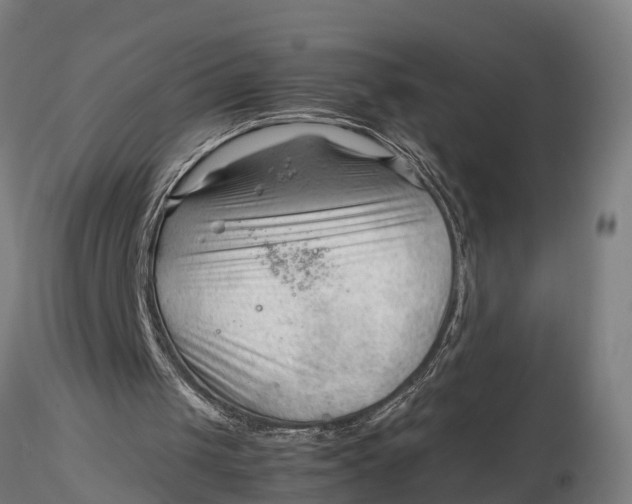 X0000115680049200912031429