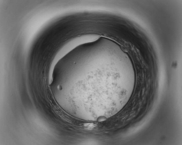 X0000115680050200912031429