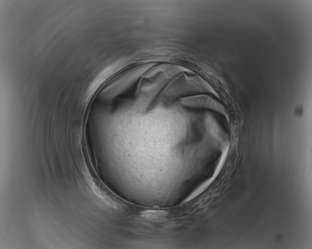 X0000115680051200912031429