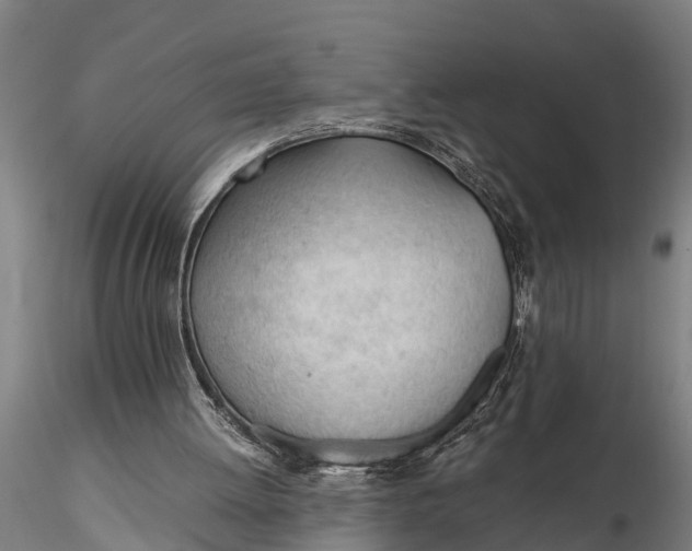 X0000115680052200912031429