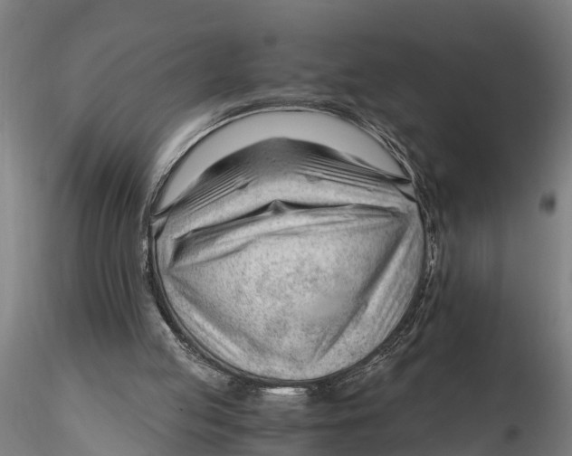 X0000115680053200912031429