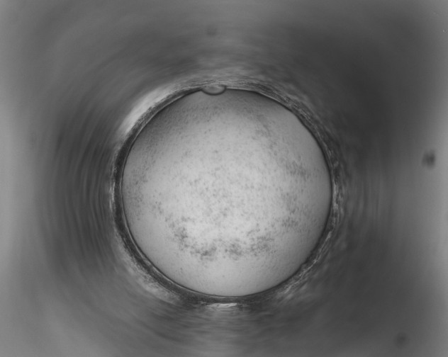 X0000115680054200912031429