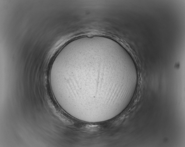 X0000115680055200912031429