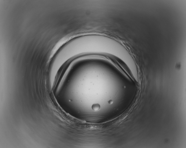 X0000115680056200912031429