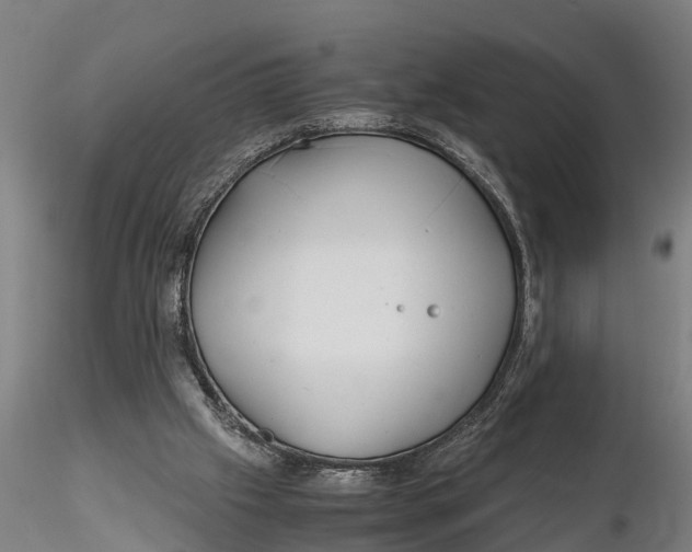 X0000115680057200912031429