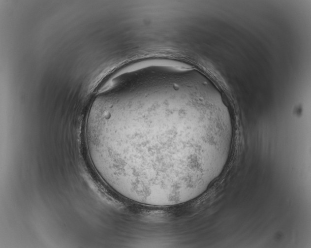 X0000115680058200912031429