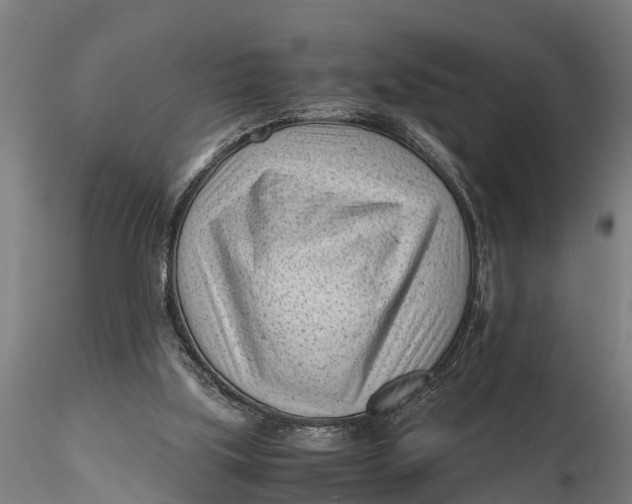 X0000115680059200912031429