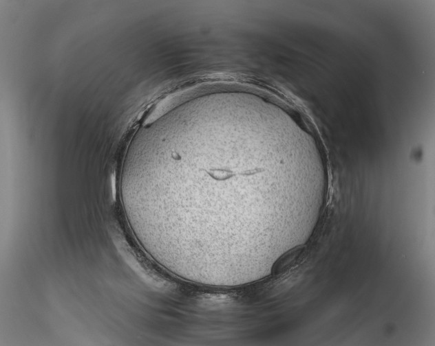 X0000115680061200912031429