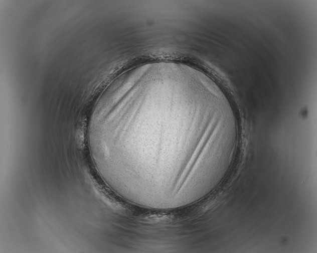 X0000115680065200912031429