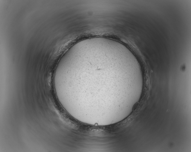 X0000115680066200912031429