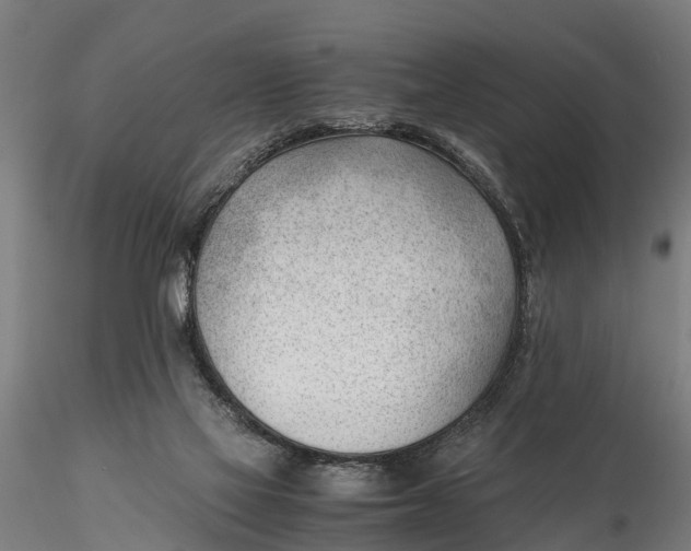 X0000115680069200912031429