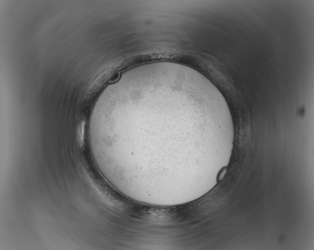 X0000115680070200912031429