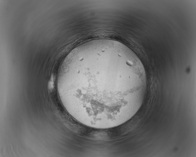 X0000115680075200912031429