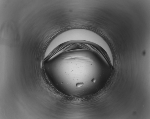 X0000115680076200912031429