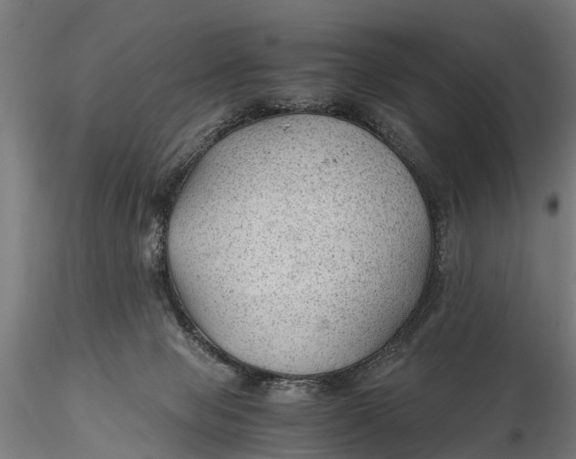 X0000115680077200912031429