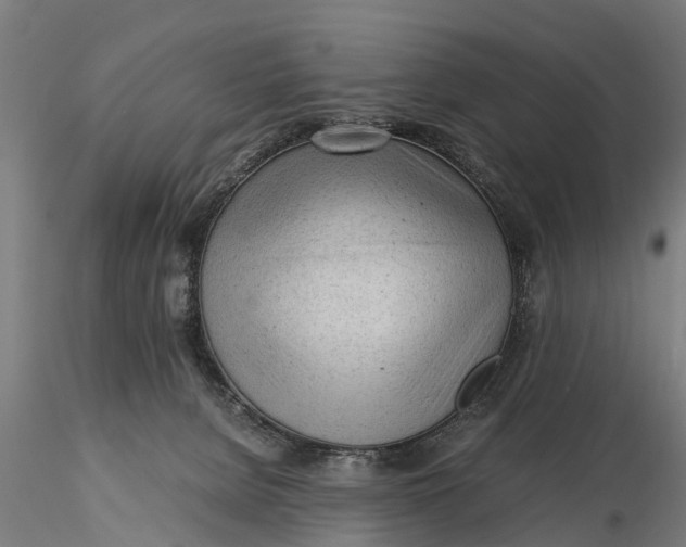 X0000115680080200912031429