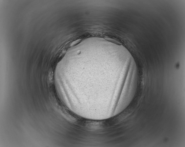 X0000115680081200912031429