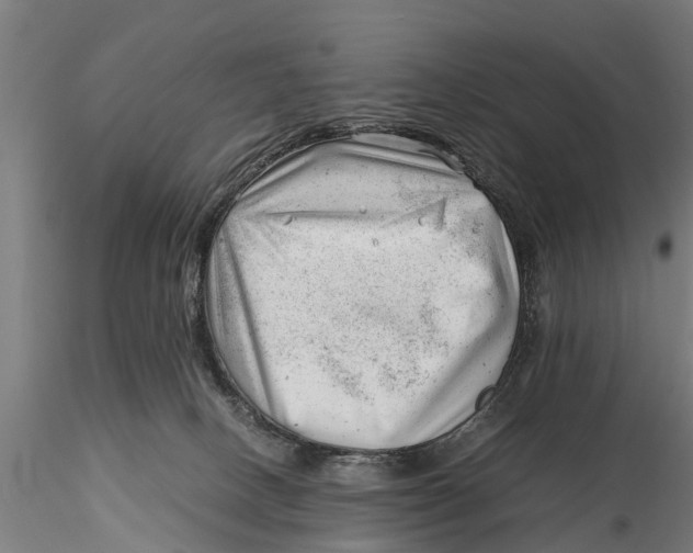 X0000115680082200912031429