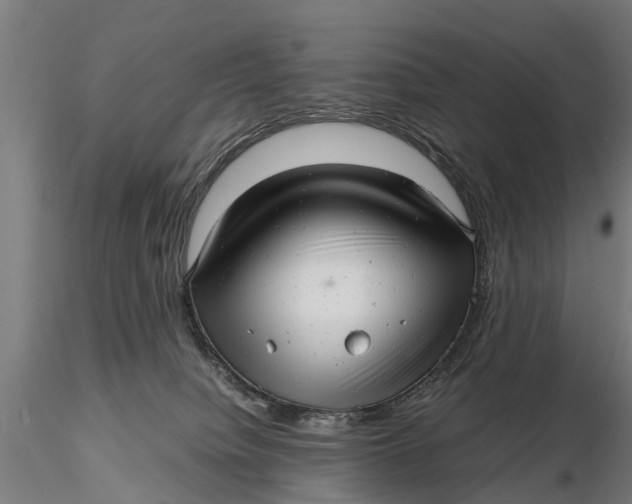 X0000115680084200912031429