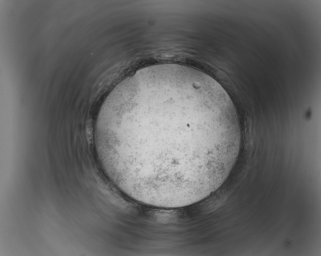 X0000115680085200912031429