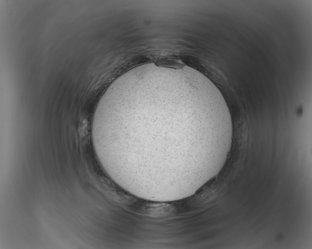 X0000115680087200912031429