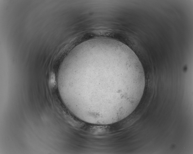 X0000115680089200912031429