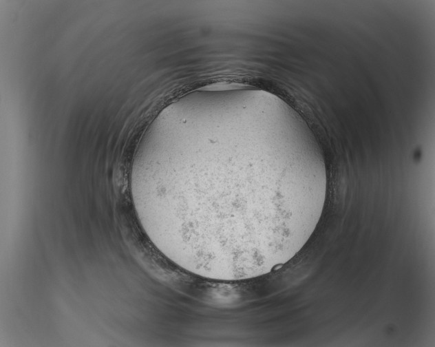 X0000115680091200912031429