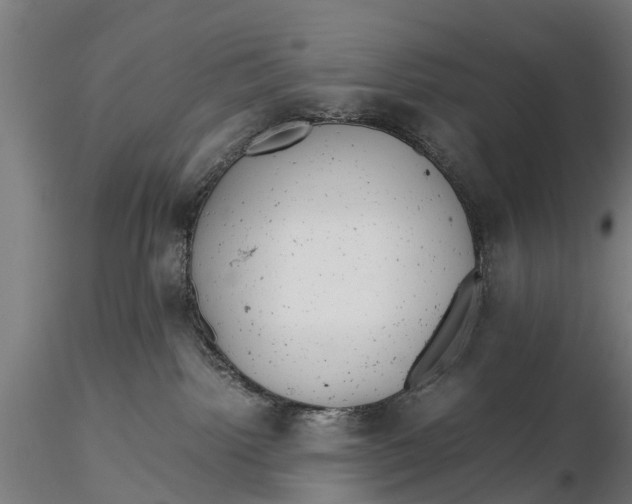 X0000115680092200912031429