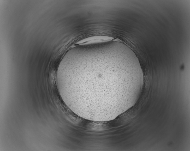 X0000115680093200912031429