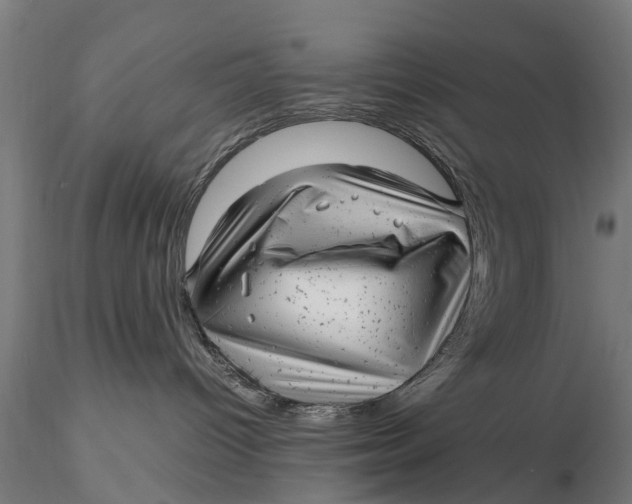 X0000115680096200912031429