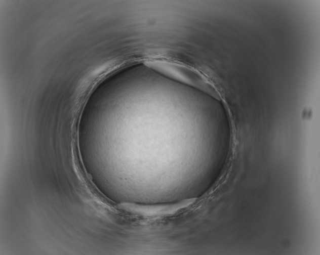 X0000115680097200912031429