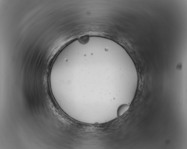 X0000115680098200912031429