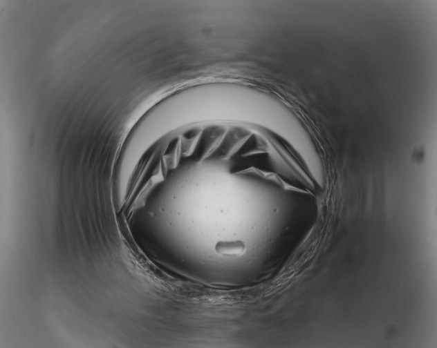 X0000115680100200912031429