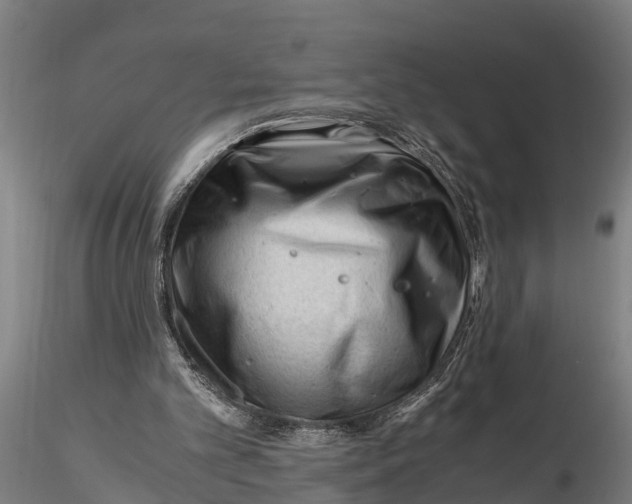 X0000115680101200912031429