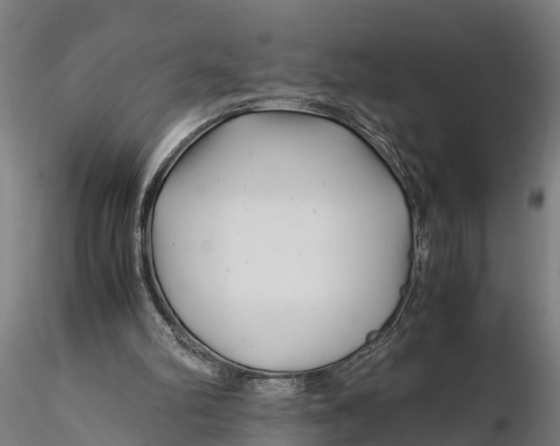 X0000115680102200912031429