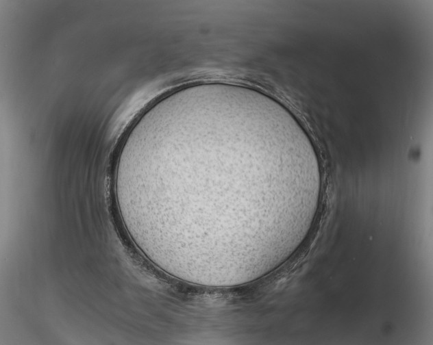 X0000115680103200912031429