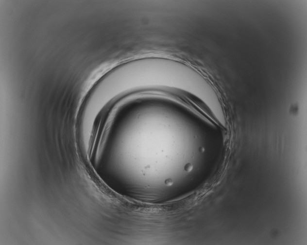 X0000115680104200912031428