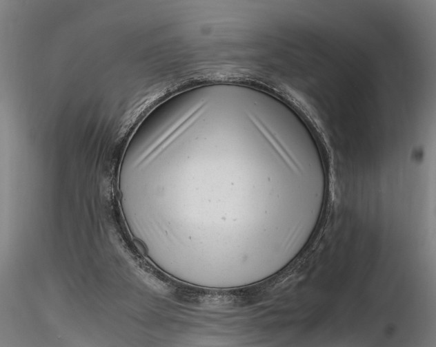 X0000115680105200912031428