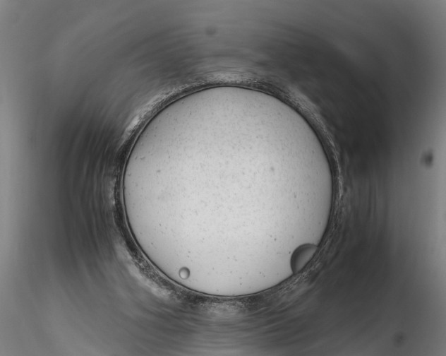 X0000115680106200912031428