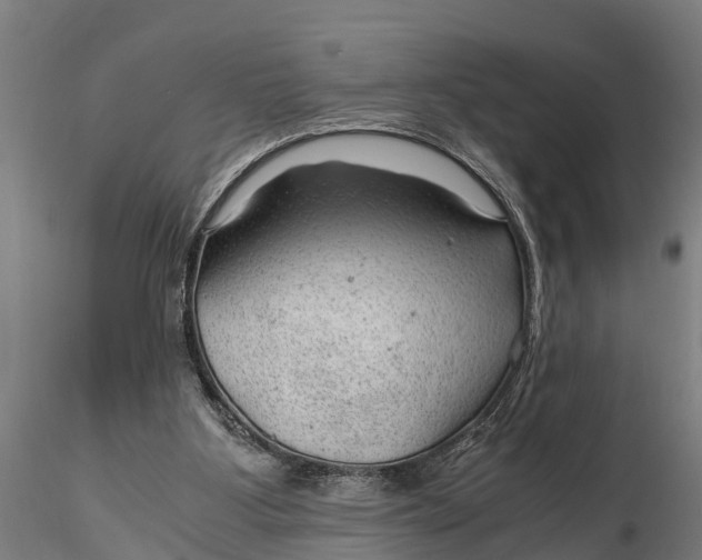 X0000115680107200912031428